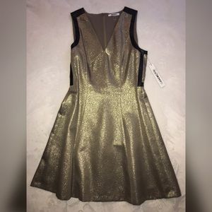 DKNYC V-Neck Metallic Flared Dress